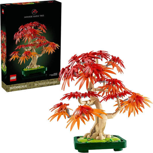 Japanese Red Maple Bonsai Tree Building Kit